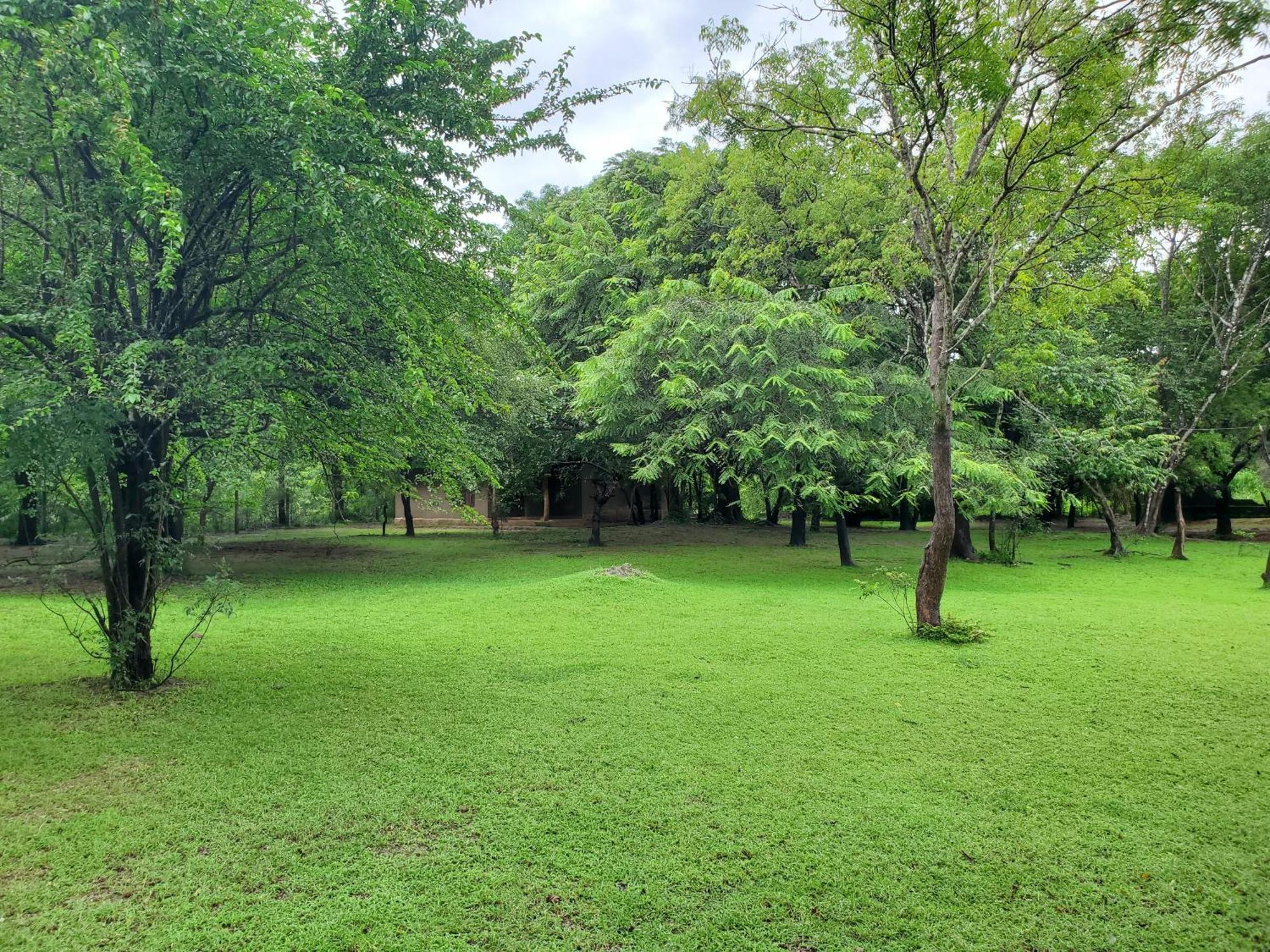 Clay Hut Village Polonnaruwa Exteriér fotografie