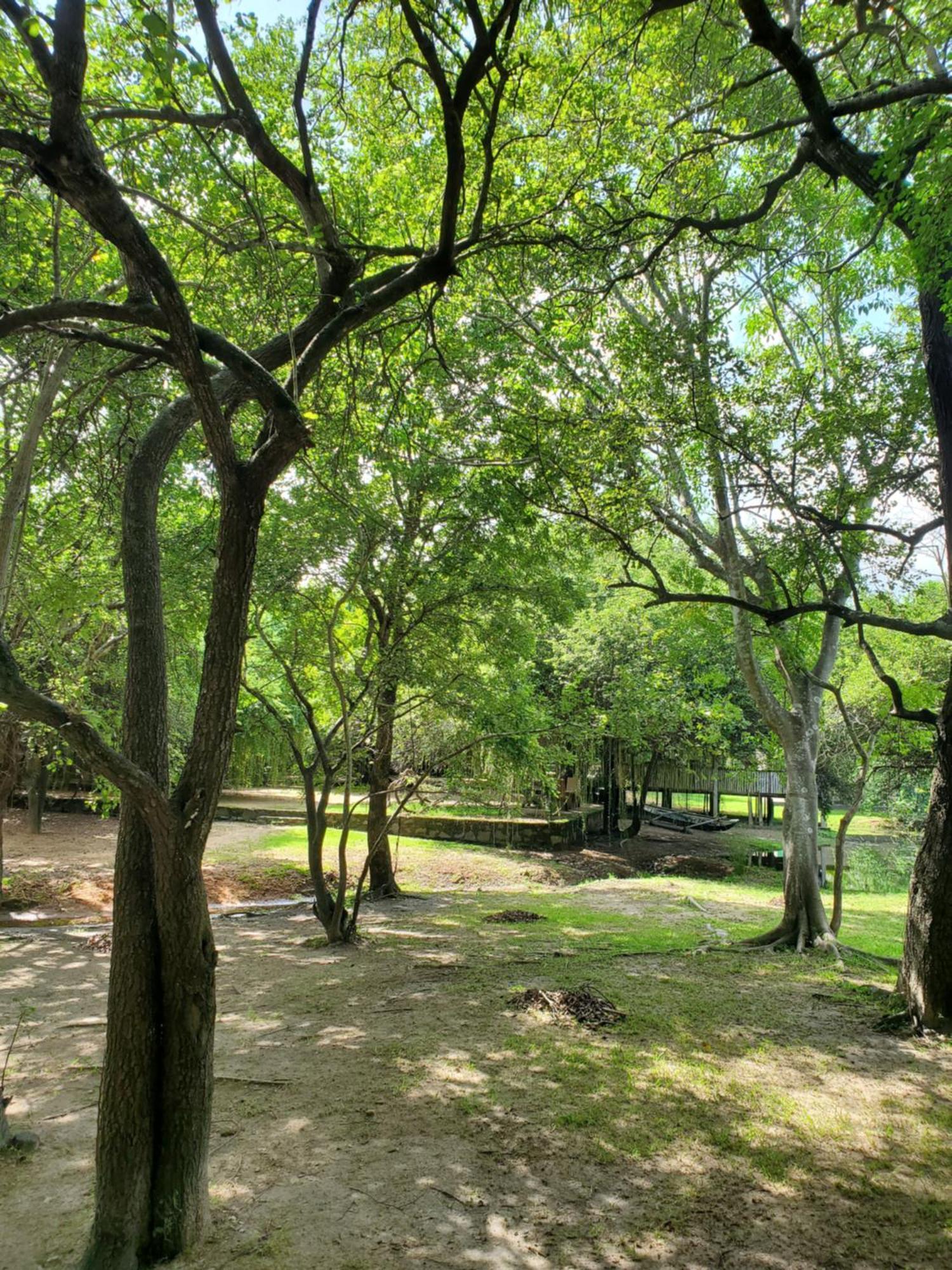 Clay Hut Village Polonnaruwa Exteriér fotografie