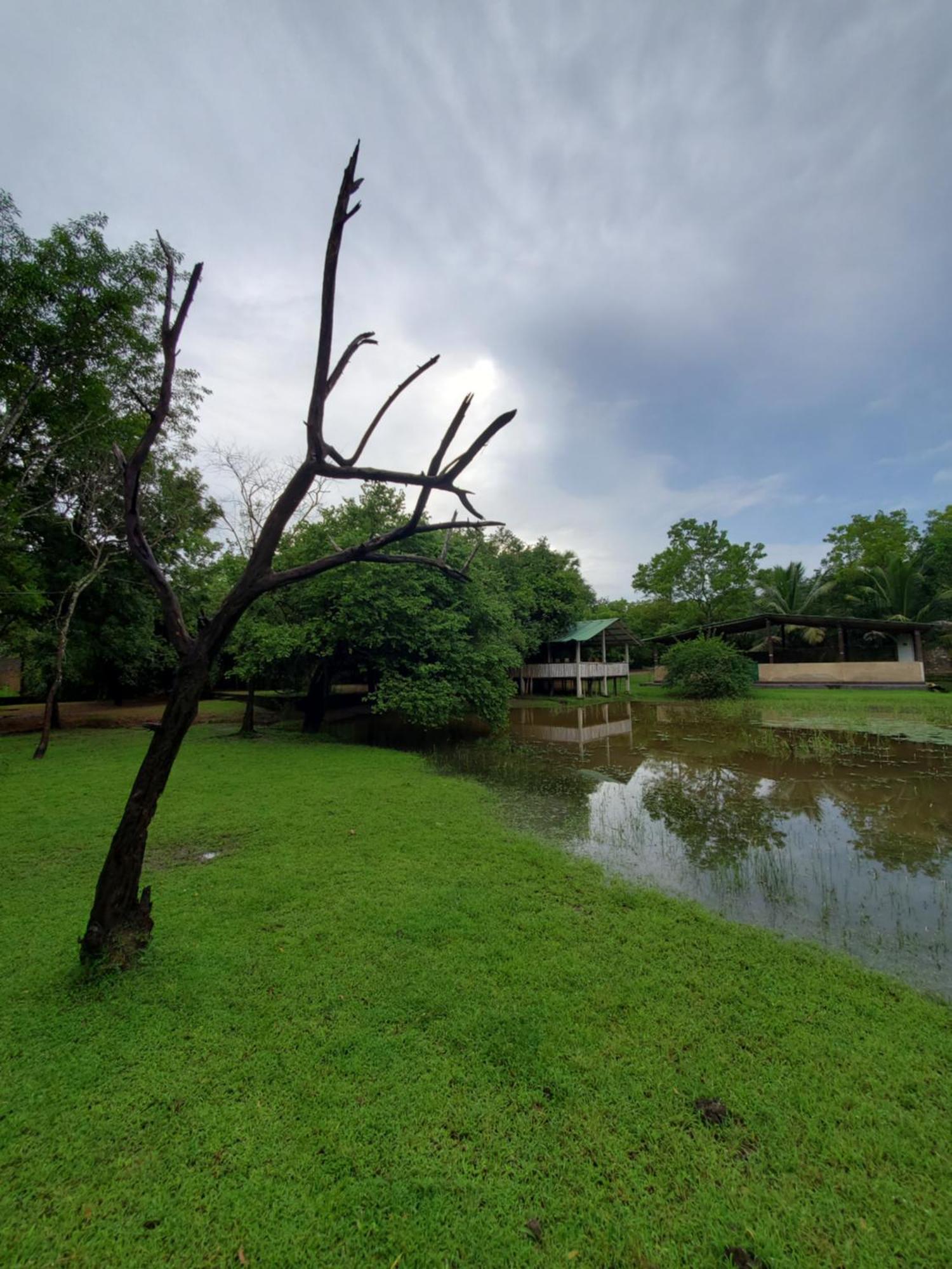 Clay Hut Village Polonnaruwa Exteriér fotografie